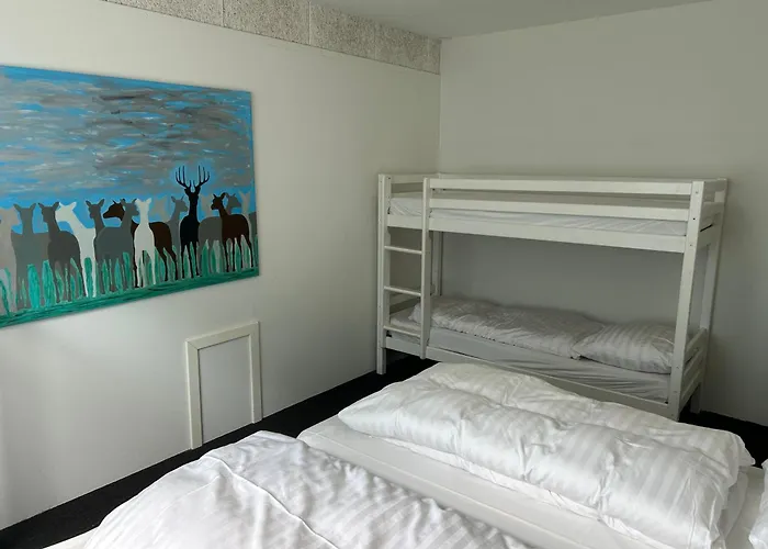 Ammitsbol D 3* Vejle